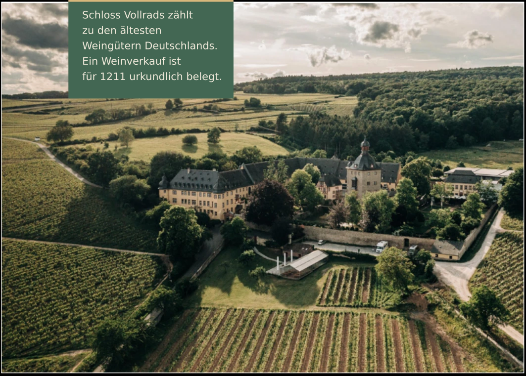 Schloss Vollrads mit Weinbergen und Wassergraben; korrigierter Bildtext: eines der ältesten Weingüter Deutschlands, Weinverkauf 1211 urkundlich belegt