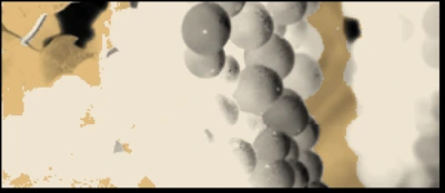 Originalillustration der Chardonnay-Trauben