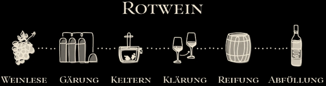 Korrigierte Rotwein-Prozessgrafik: Weinlese, Gärung im Gärbehälter, Keltern mit der Presse, Klärung, Reifung und Abfüllung