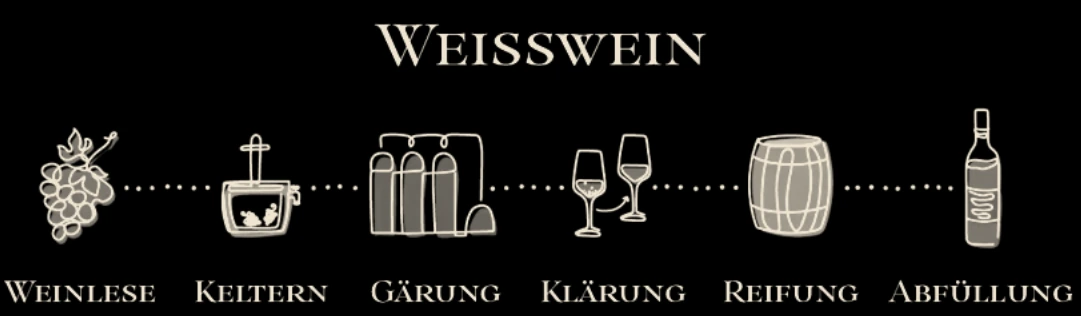 Weißwein-Prozessgrafik: Weinlese, Keltern, Gärung, Klärung, Reifung, Abfüllung